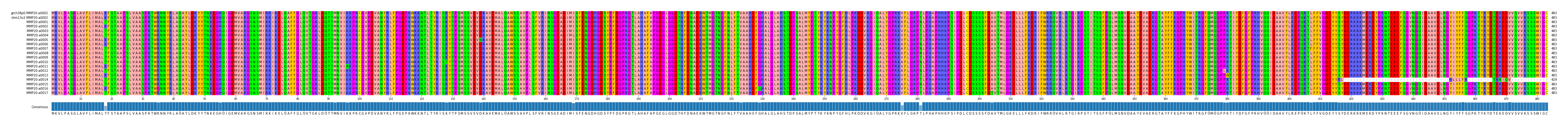 Multiple Alignments (by translate haplotype frequency)