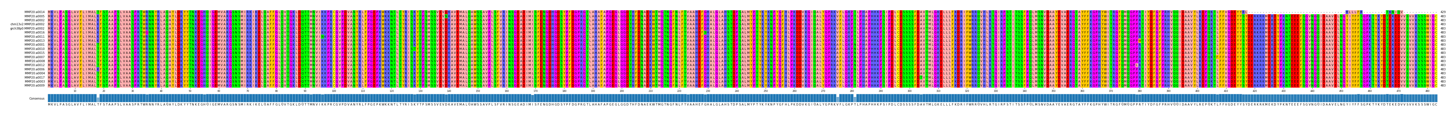 Multiple Alignments (by translate haplotype similarity)