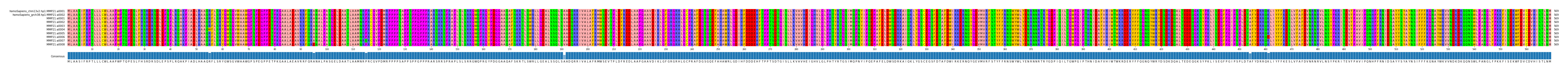 Multiple Alignments (by translate haplotype frequency)