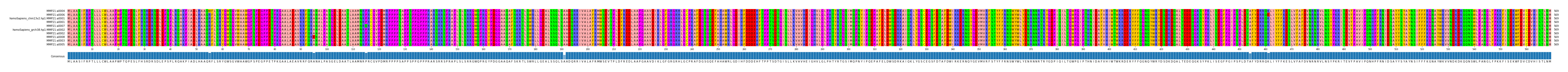 Multiple Alignments (by translate haplotype similarity)