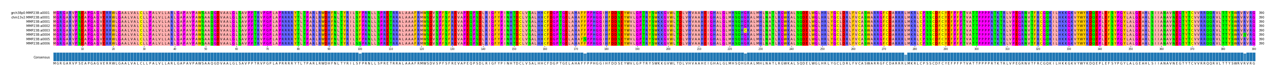 Multiple Alignments (by translate haplotype frequency)