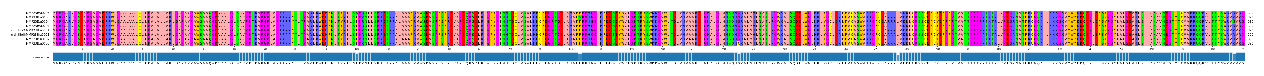 Multiple Alignments (by translate haplotype similarity)
