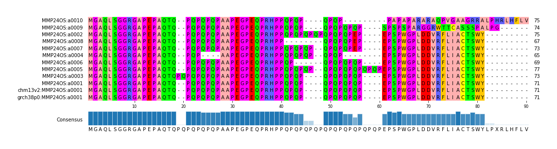 Multiple Alignments (by translate haplotype similarity)