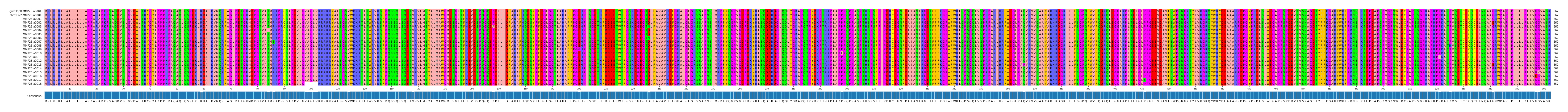 Multiple Alignments (by translate haplotype frequency)