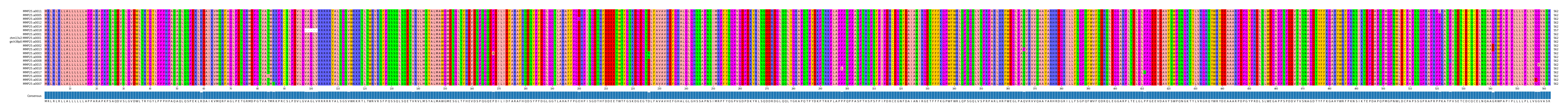 Multiple Alignments (by translate haplotype similarity)
