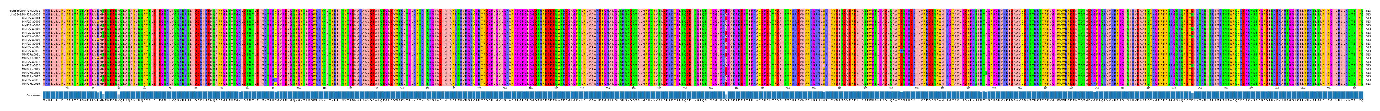 Multiple Alignments (by translate haplotype frequency)