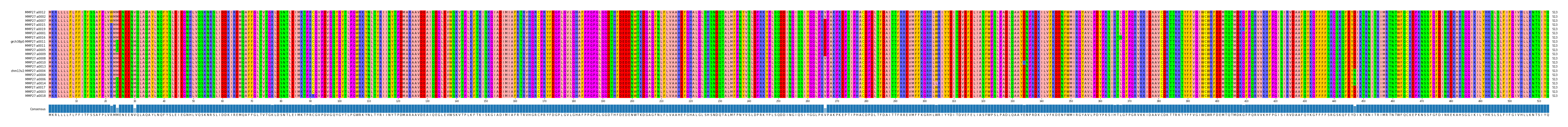 Multiple Alignments (by translate haplotype similarity)