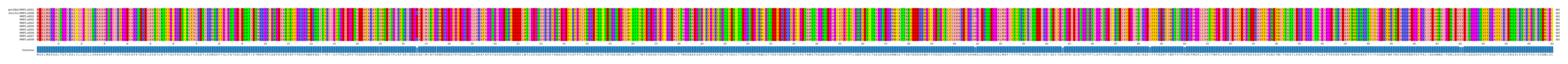 Multiple Alignments (by translate haplotype frequency)