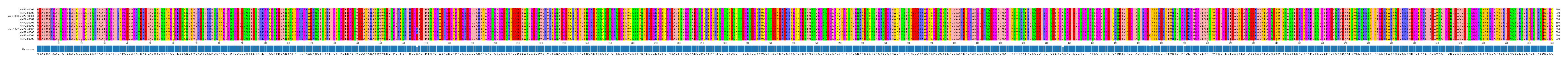 Multiple Alignments (by translate haplotype similarity)