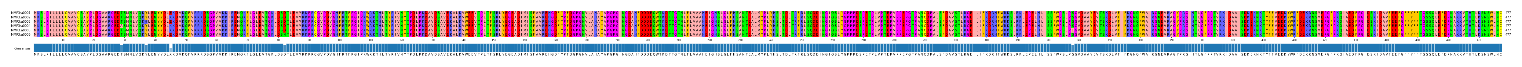 Multiple Alignments (by translate haplotype frequency)