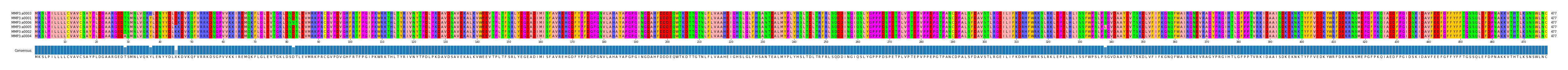 Multiple Alignments (by translate haplotype similarity)