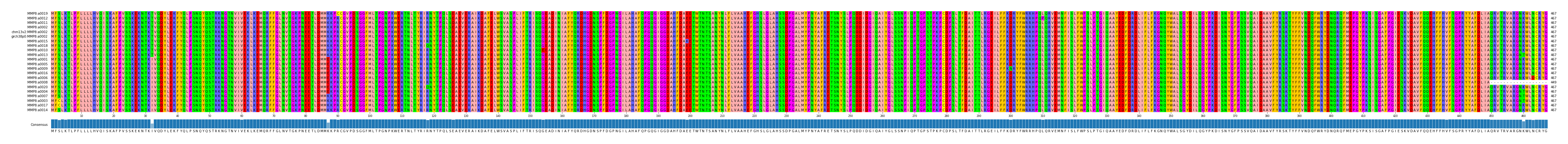 Multiple Alignments (by translate haplotype similarity)