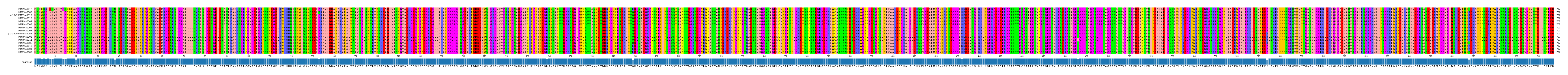 Multiple Alignments (by translate haplotype similarity)