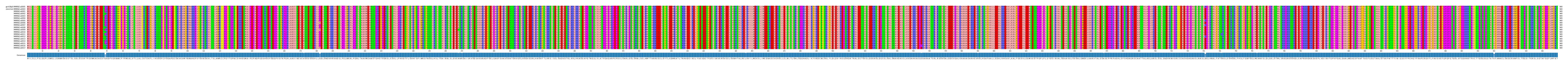 Multiple Alignments (by translate haplotype frequency)