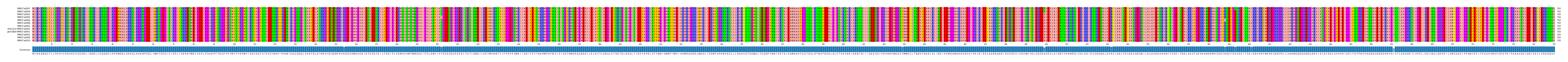 Multiple Alignments (by translate haplotype similarity)
