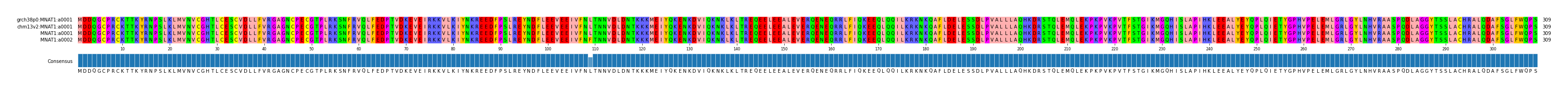 Multiple Alignments (by translate haplotype similarity)