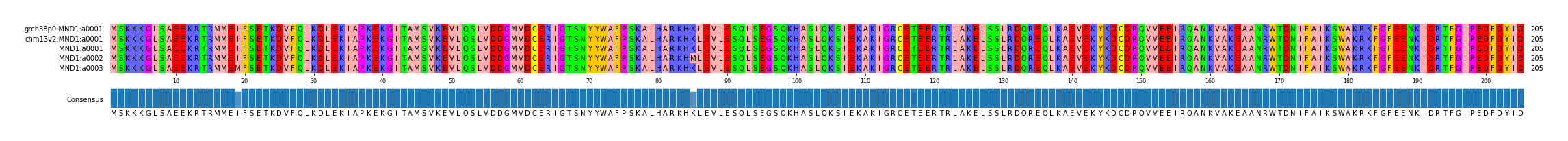 Multiple Alignments (by translate haplotype frequency)