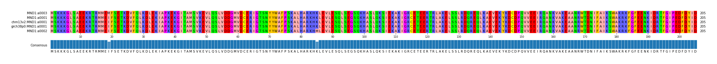 Multiple Alignments (by translate haplotype similarity)