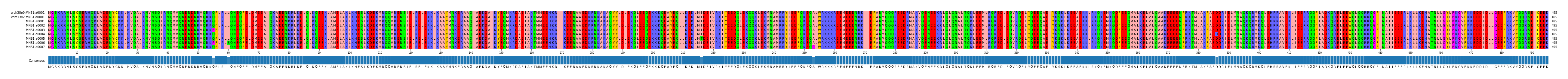 Multiple Alignments (by translate haplotype frequency)