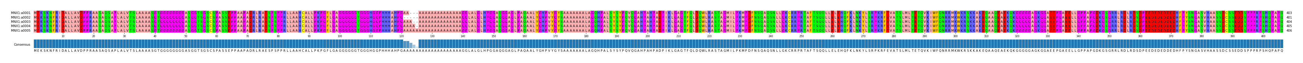 Multiple Alignments (by translate haplotype similarity)