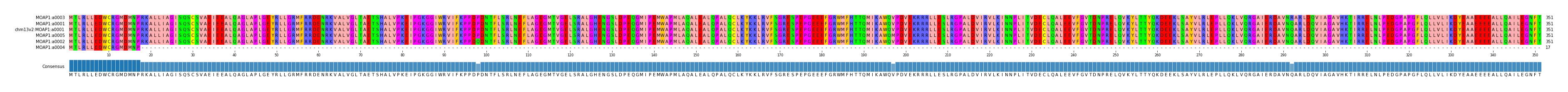Multiple Alignments (by translate haplotype similarity)