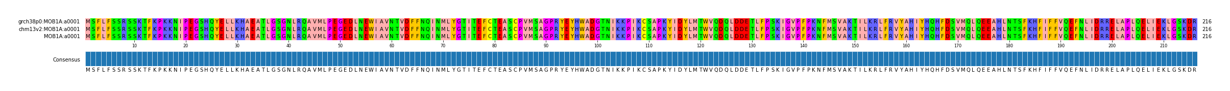 Multiple Alignments (by translate haplotype similarity)