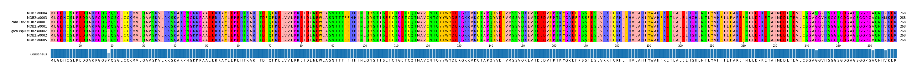 Multiple Alignments (by translate haplotype similarity)