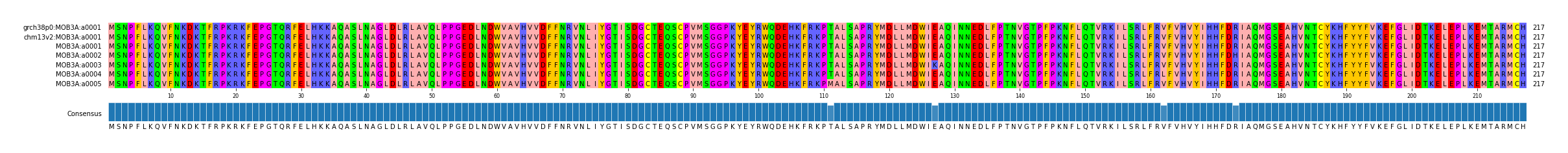 Multiple Alignments (by translate haplotype frequency)