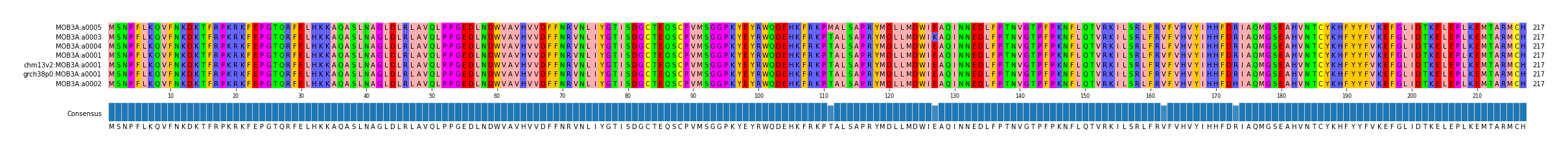 Multiple Alignments (by translate haplotype similarity)