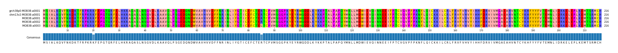 Multiple Alignments (by translate haplotype frequency)