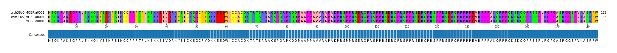 Multiple Alignments (by translate haplotype similarity)