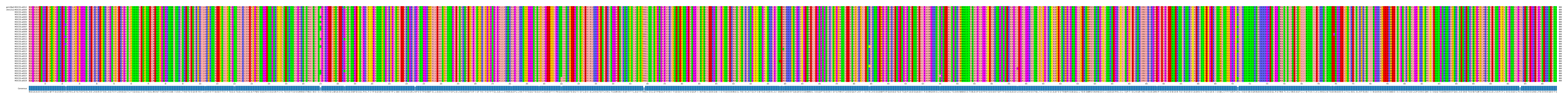 Multiple Alignments (by translate haplotype frequency)