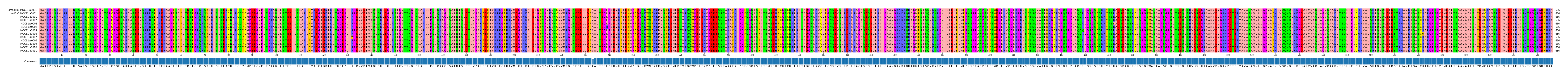 Multiple Alignments (by translate haplotype frequency)