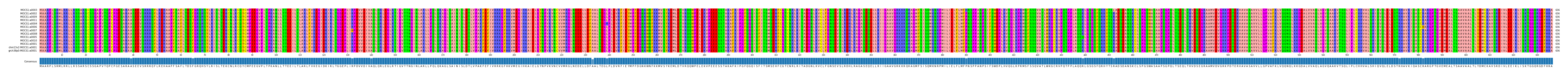 Multiple Alignments (by translate haplotype similarity)