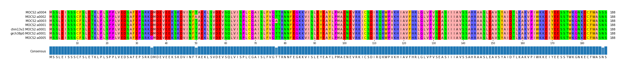 Multiple Alignments (by translate haplotype similarity)