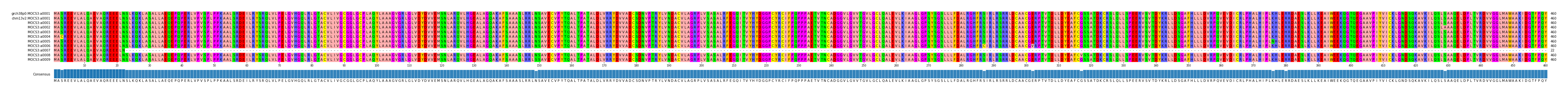 Multiple Alignments (by translate haplotype frequency)