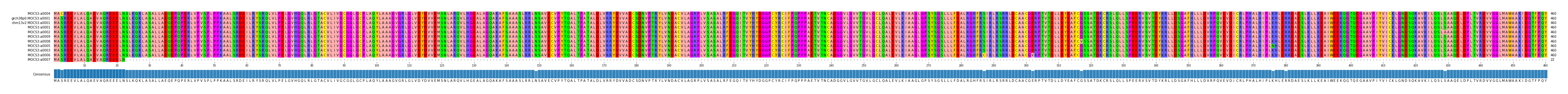 Multiple Alignments (by translate haplotype similarity)