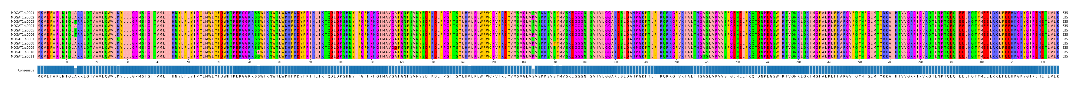 Multiple Alignments (by translate haplotype frequency)