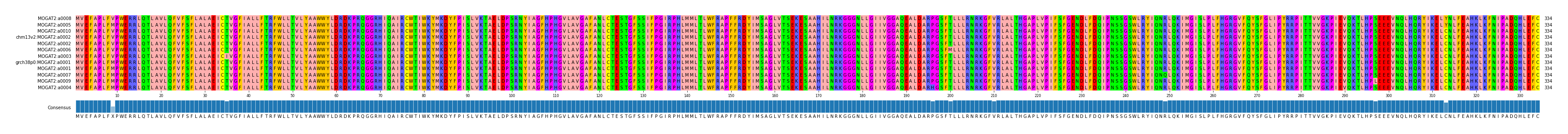 Multiple Alignments (by translate haplotype similarity)