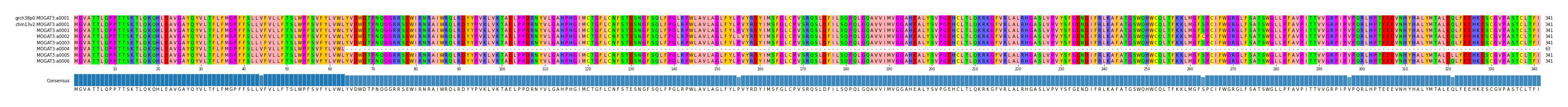 Multiple Alignments (by translate haplotype frequency)