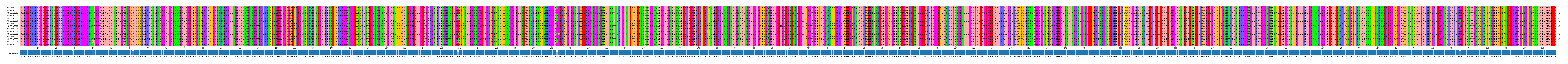 Multiple Alignments (by translate haplotype frequency)