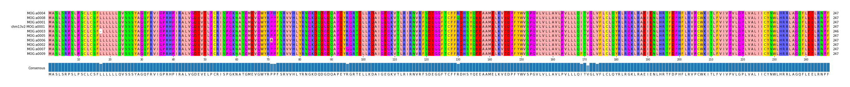 Multiple Alignments (by translate haplotype similarity)
