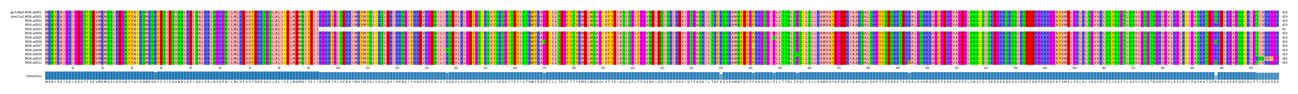 Multiple Alignments (by translate haplotype frequency)