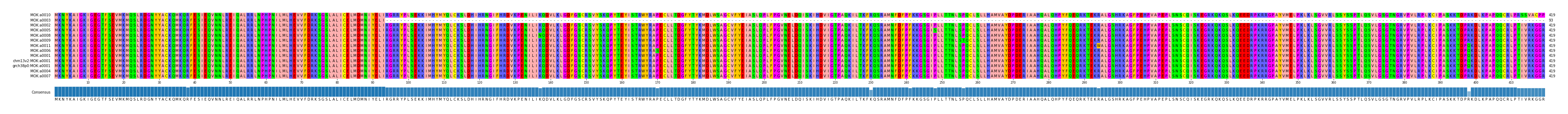 Multiple Alignments (by translate haplotype similarity)