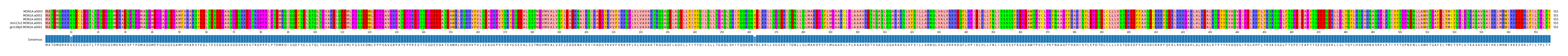 Multiple Alignments (by translate haplotype similarity)
