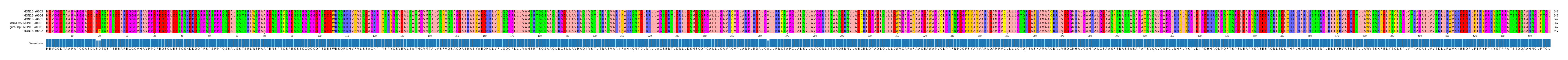 Multiple Alignments (by translate haplotype similarity)