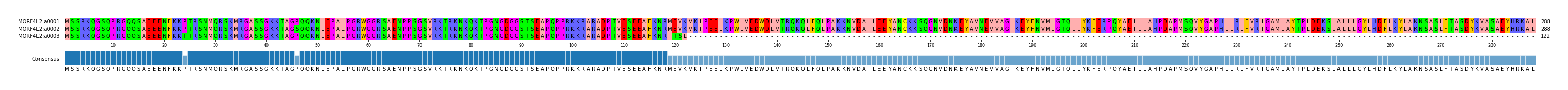 Multiple Alignments (by translate haplotype frequency)