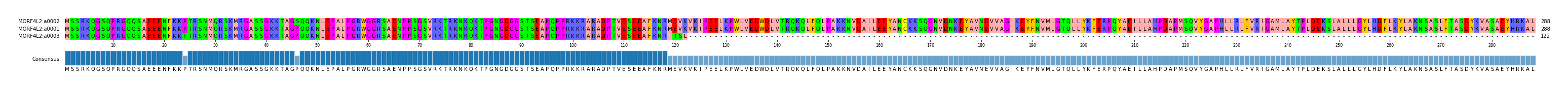 Multiple Alignments (by translate haplotype similarity)