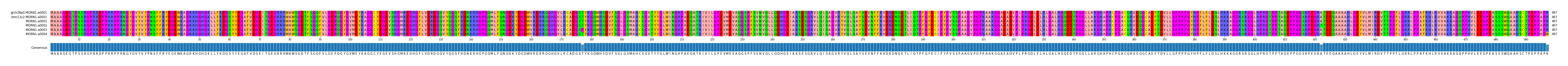 Multiple Alignments (by translate haplotype frequency)