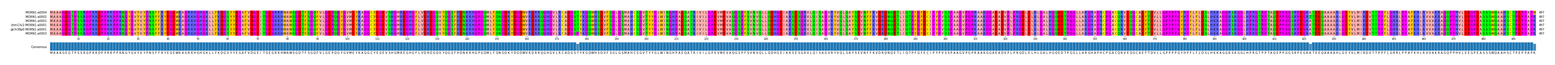 Multiple Alignments (by translate haplotype similarity)